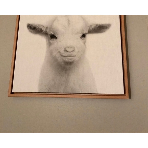 Meet your Posher, Chandra - Picture 1 of 1